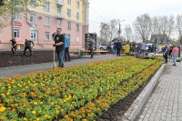 Мэр разберётся, почему забросили аллею, построенную благотворителями ко Дню Победы