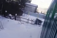 Протест или хулиганство? В Нижнем Тагиле саботируют работу новой мусорной площадки