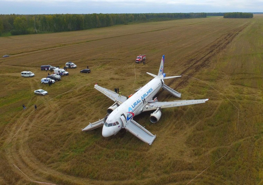 «Идиоты». Заслуженный пилот раскритиковал экипаж «Уральских авиалиний», посадивший А320 в поле
