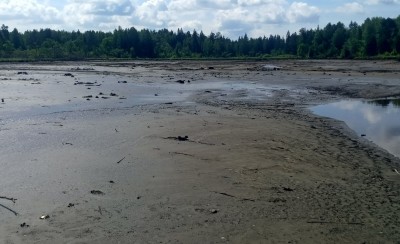 Вода ушла за несколько часов: прокуратура занялась обмелением пруда под Нижним Тагилом