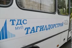 «Тагилдорстрой» займётся отловом бездомных собак