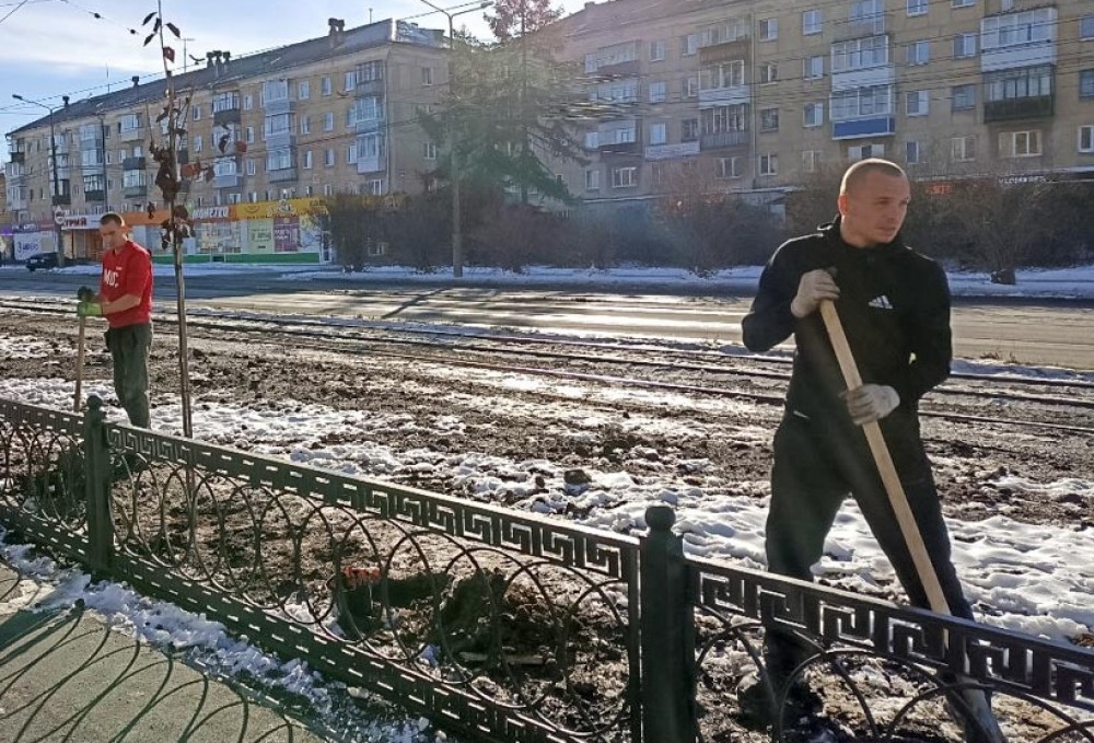 На Ленинградском проспекте приступили к озеленению: высадят 180 черёмух