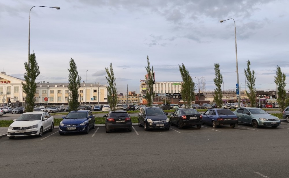 В Нижнем Тагиле стартовала крупнейшая за последние годы программа озеленения