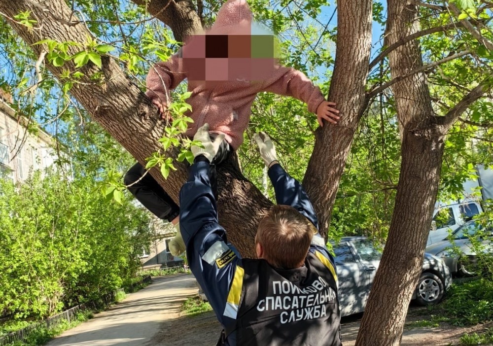 В Нижнем Тагиле 9-летняя героиня, спасая котенка с дерева, сама стала «пленницей высоты»
