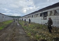 Кушвинский смерч повредил ключевой агрокомплекс под Нижним Тагилом