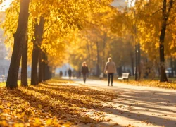 Бабье лето уходит: свердловские синоптики дали прогноз на неделю