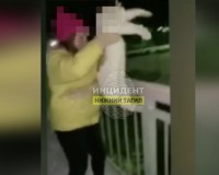 13-летняя девочка, сбросившая кошку с моста, вероятно, уйдет от ответственности (видео)
