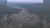 700 га леса: спутниковые снимки раскрыли истинный масштаб смерча над Кушвой