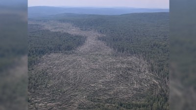 700 га леса: спутниковые снимки раскрыли истинный масштаб смерча над Кушвой