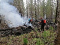 На Монзино под Нижним Тагилом горит лес: огонь подступает к домам