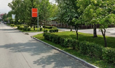 В центре Нижнего Тагила вырубили декоративные кустарники и так их и не восстановили