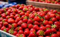 Клубника достигла ценового дна, а черешня еще может подешеветь
