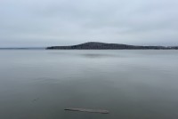 Ученые не выявили эффекта от очистки Черноисточинского пруда за полмиллиарда рублей