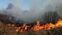 Свердловские власти рассказали о борьбе с лесными пожарами