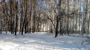 Холодает. На подходе к Среднему Уралу порция арктического воздуха