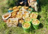 Свердловчане собрали 300 литров грибов за раз: фото