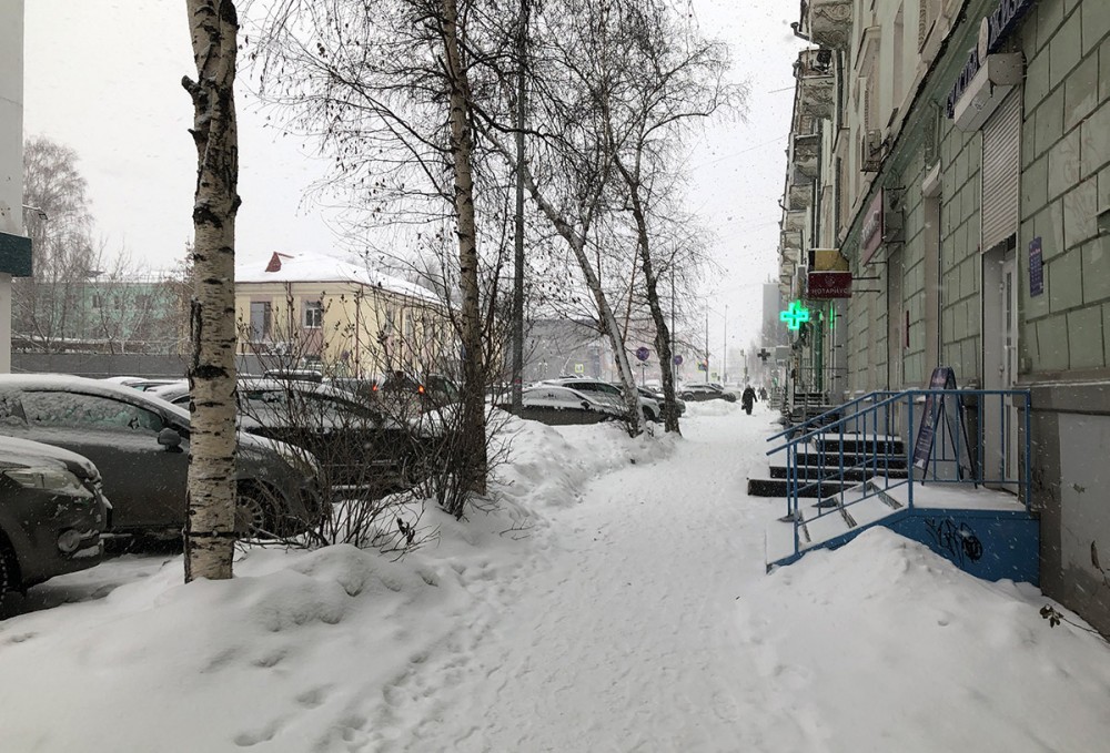 Появился новый прогноз на зиму в Свердловской области