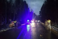 Тагильчанка с дочками разбилась в страшной аварии