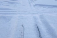 В Свердловской области избыток снега и слабое промерзание почвы