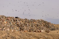 Ещё из трех муниципалитетов предложили свозить мусор в Нижний Тагил