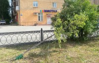 Новое озеленение Нижнего Тагила подверглось атаке вандалов
