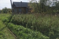 Тагильчанам назвали территории с самой высокой концентрацией клещей