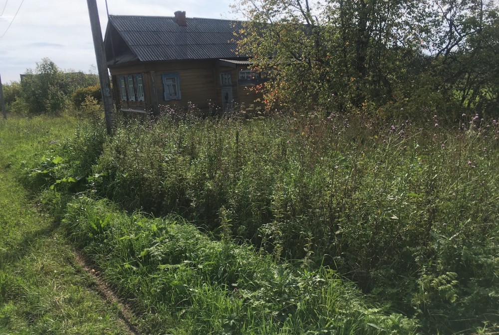 Тагильчанам назвали территории с самой высокой концентрацией клещей