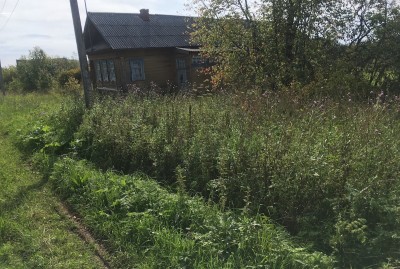 Тагильчанам назвали территории с самой высокой концентрацией клещей