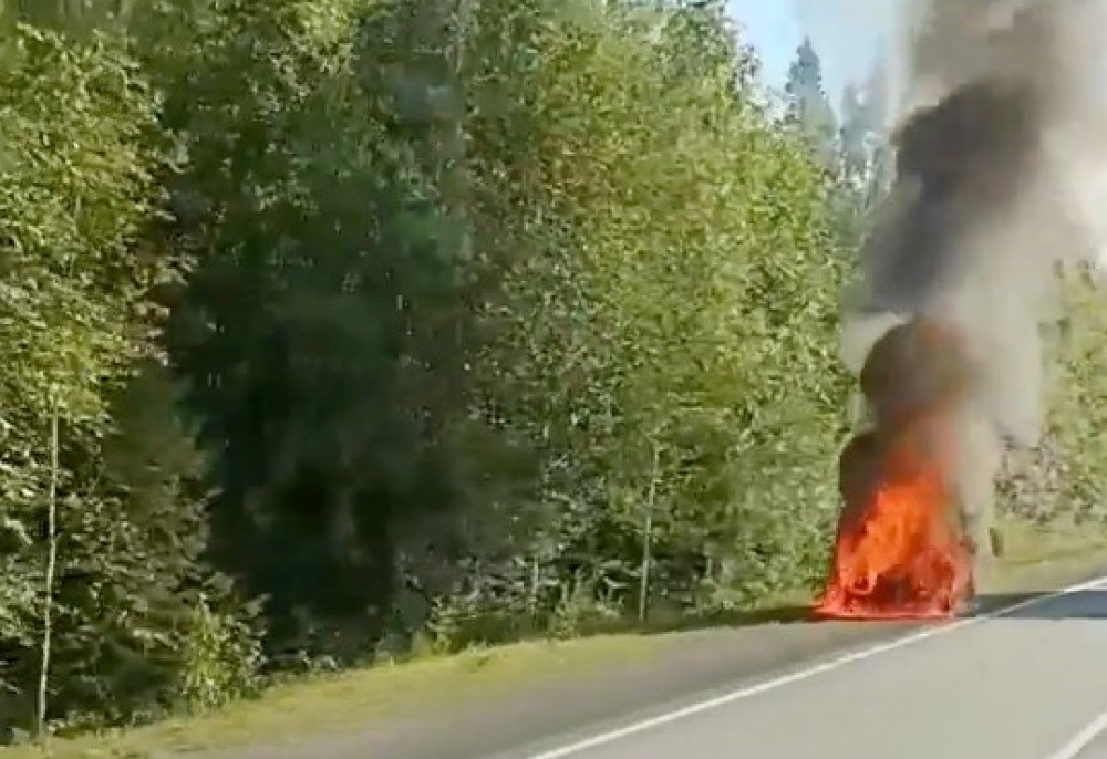 На Серовском тракте дотла выгорел Mercedes (видео)