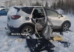 Охотник выследил медведя, который дважды разгромил парковку в Свердловской области