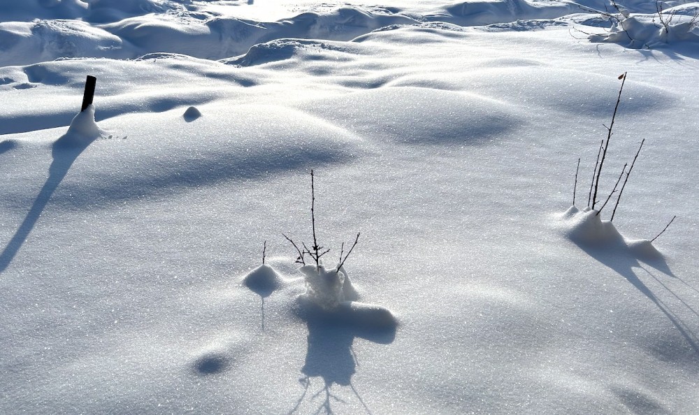 Свердловские синоптики рассказали, на какие города обрушится снежный &laquo;черноморский&raquo; циклон