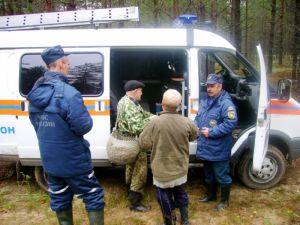 Под Нижним Тагилом нашли тело погибшего грибника