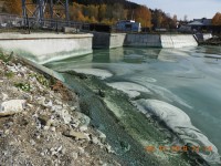 В Минприроды не нашли угрозы здоровью тагильчан в пробах воды из Черноисточинского пруда после массовой гибели рыбы