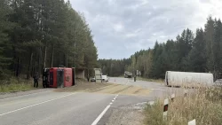 Водитель автобуса напился в обед и повез тагильчан