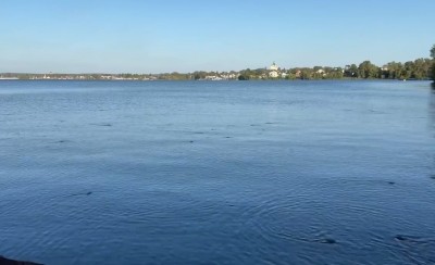 Не загрязнение: названа причина аномального поведения рыбы в Тагильском пруду