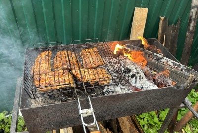 В пригороде Нижнего Тагила вводят запрет на посещение лесов и использование мангалов