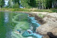 Нормы по алюминию превышены в 57,5 раз. «Водоканал» Нижнего Тагила вновь слил опасные стоки в Черноисточинское водохранилище