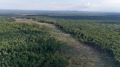 Просека на километры: путь свердловского смерча сняли с воздуха