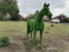 На Гальянке появилась семья зеленых лошадей за 400 тыс рублей (фото)