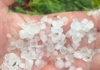 На пригород Нижнего Тагила обрушился град, повредив посадки