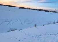 Эксперимент от тагильчан: они написали «Навальный» на пруду и ждут реакции властей (фото)