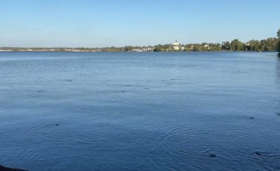 Власти опровергли информацию о массовом море рыбы в Тагильском пруду. Что произошло?