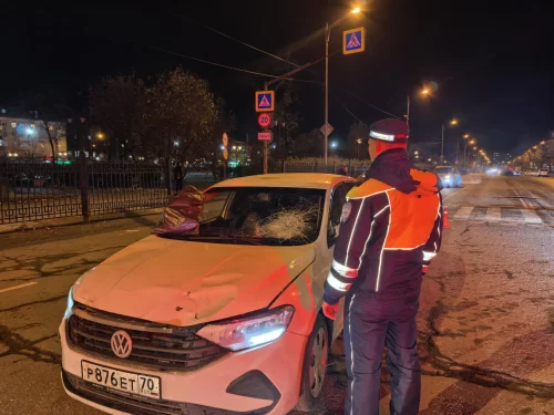 На зебре в Нижнем Тагиле сбили женщину с ребёнком
