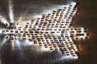 В Нижнем Тагиле хотят установить рекорд в 30-градусный мороз