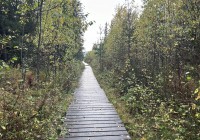 В Нижнем Тагиле смягчили противопожарный режим
