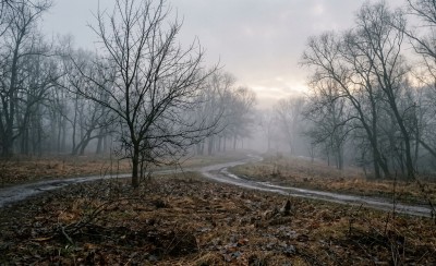 Дождь и мокрый снег: свердловские синоптики дали прогноз на неделю