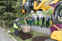 Зелёный фонд Нижнего Тагила пополнят более чем на 2,5 тысячи деревьев и кустарников
