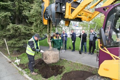Зелёный фонд Нижнего Тагила пополнят более чем на 2,5 тысячи деревьев и кустарников