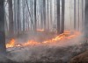 Глава Уральской авиабазы раскрыл причину рекордных пожаров в свердловских лесах