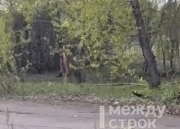 В Нижнем Тагиле распространяются сообщения о сексуальном маньяке